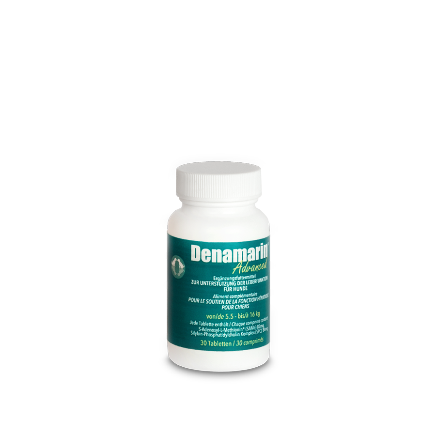 denamarin-advanced-da-5-5kg-a-16kg-contribuisce-a-mantenere-e