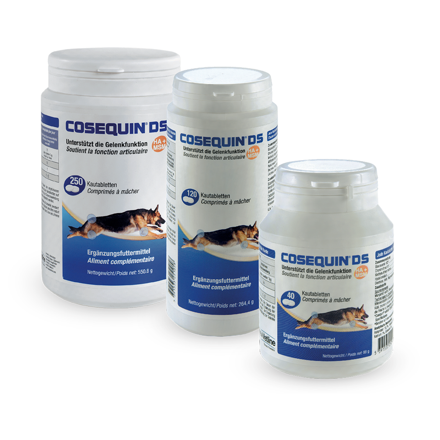 Cosequin® DS con HA + MSM